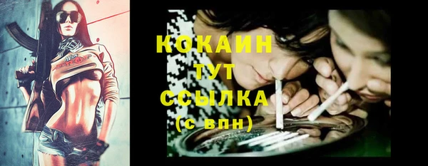 ПСИЛОЦИБИНОВЫЕ ГРИБЫ Бородино
