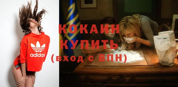 ПСИЛОЦИБИНОВЫЕ ГРИБЫ Бородино