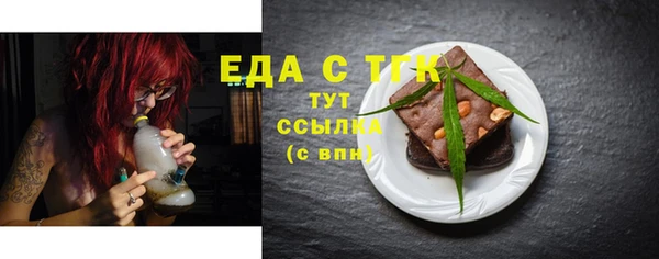 индика Верхний Тагил