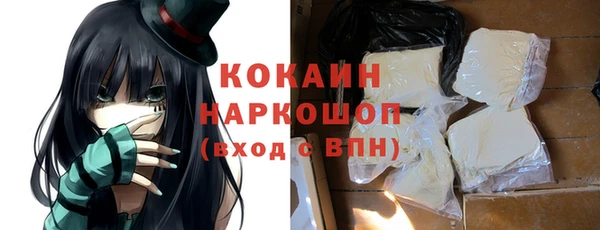 ПСИЛОЦИБИНОВЫЕ ГРИБЫ Бородино