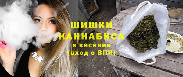амф Бронницы