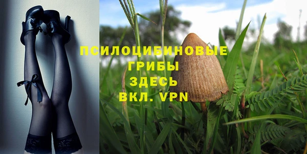 крисы Верхнеуральск