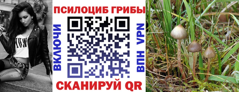 даркнет состав Бутурлиновка Псилоцибиновые грибы MAGIC MUSHROOMS