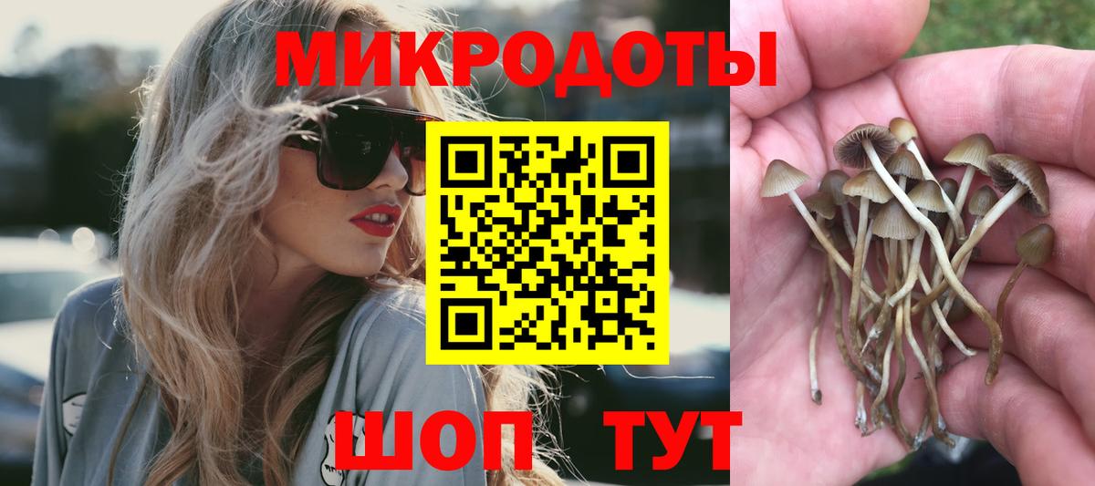 Галлюциногенные грибы прущие грибы  Вход с VPN  Бутурлиновка 