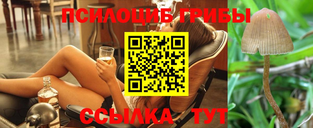 Галлюциногенные грибы GOLDEN TEACHER Бутурлиновка