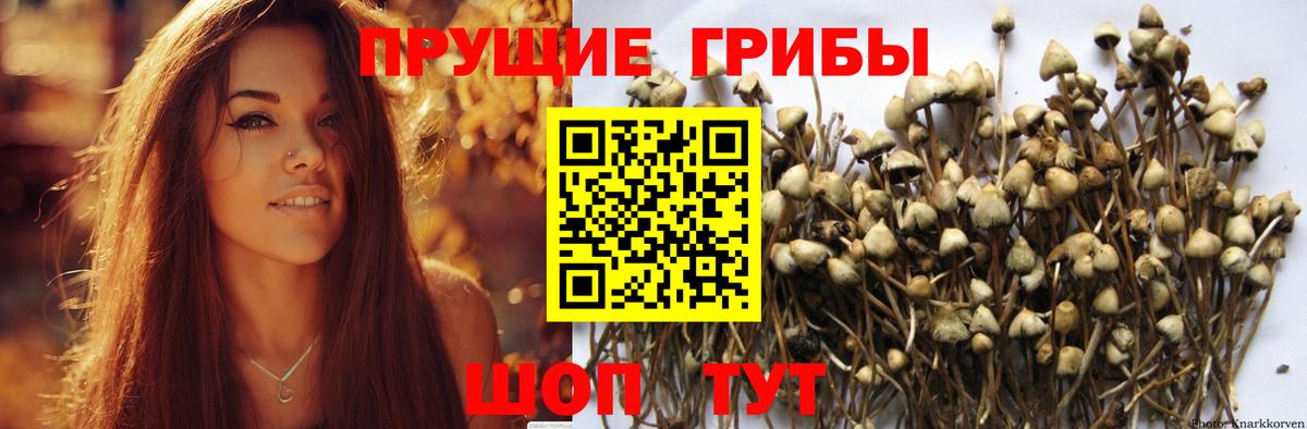 Кокаин  Бутурлиновка  Вход с VPN  Меф   Канабис 