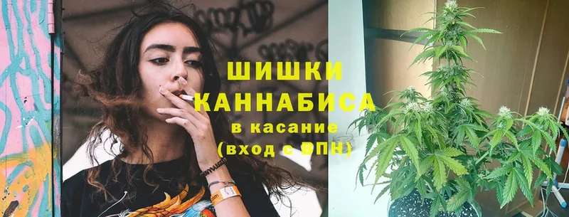 Марихуана THC 21%  Бутурлиновка 